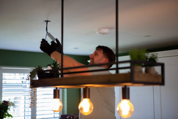 Best Electric Panel Repair  in Wilson, NC
